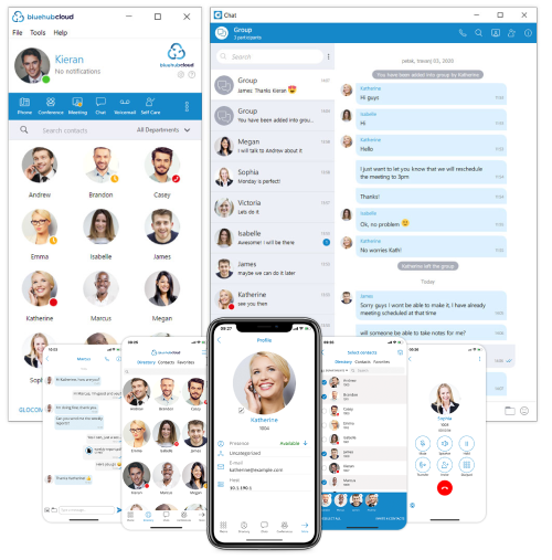 bluehubcloud chat screenshot